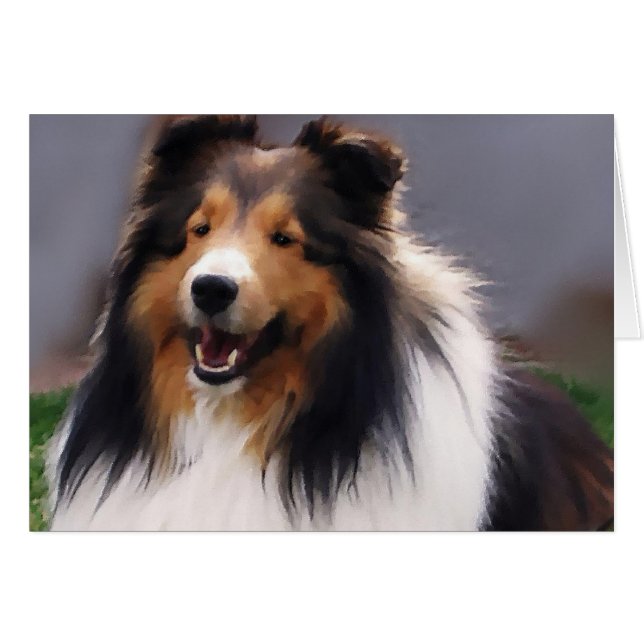 Shetland Sheepdog Sheltie Geschenke (Vorderseite (Horizontal))