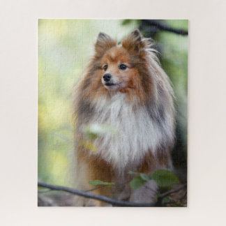 Shetland Sheepdog Sheltie kleiner Hund im Wald Puzzle