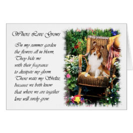 Shetland Sheepdog Sheltie Kunst Geschenke