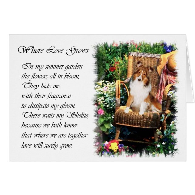 Shetland Sheepdog Sheltie Kunst Geschenke (Vorderseite (Horizontal))