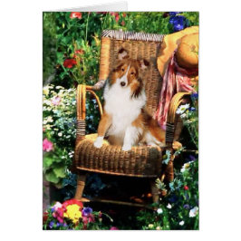 Shetland Sheepdog Sheltie Kunst Geschenke
