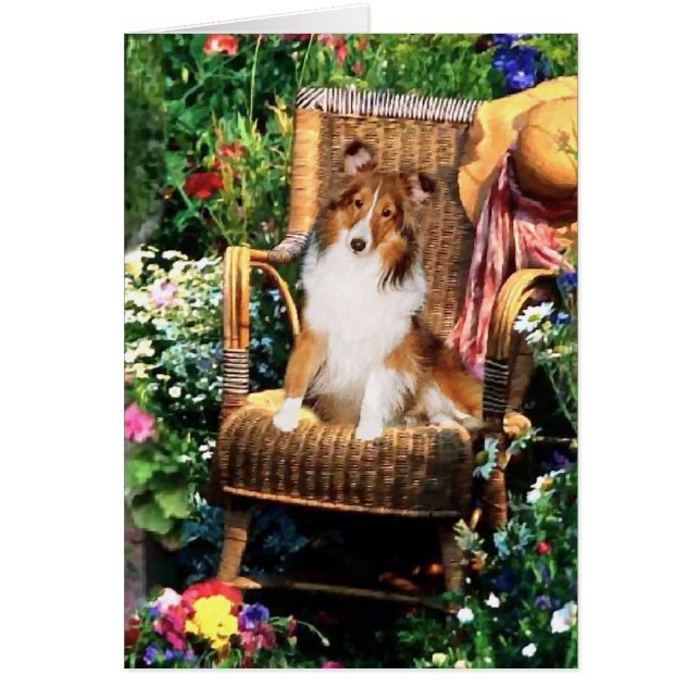 Shetland Sheepdog Sheltie Kunst Geschenke (Vorne)