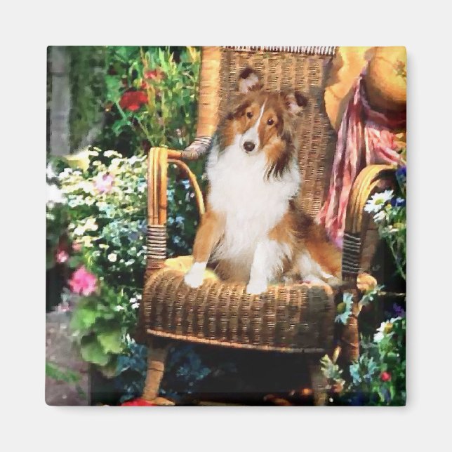 Shetland Sheepdog Sheltie Kunst Geschenke Magnet (Vorne)