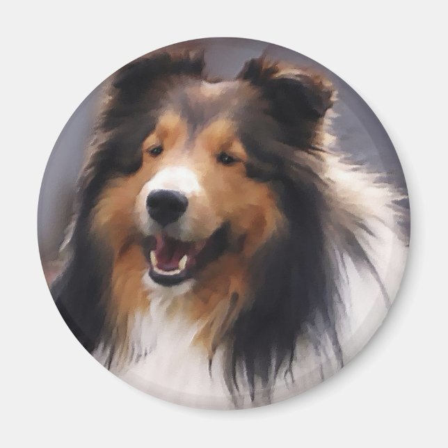 Shetland Sheepdog Sheltie Kunst Geschenke Magnet (Vorne)