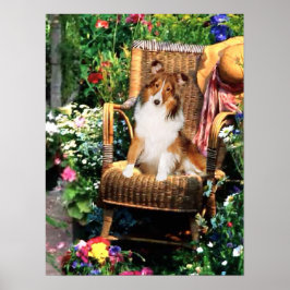 Shetland Sheepdog Sheltie Kunst Geschenke Poster