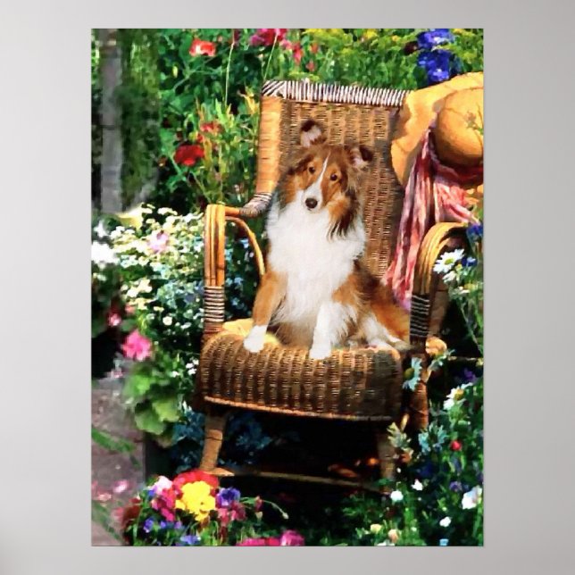 Shetland Sheepdog Sheltie Kunst Geschenke Poster (Vorne)