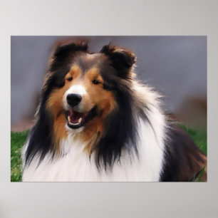 Shetland Sheepdog Sheltie Kunst Geschenke Poster