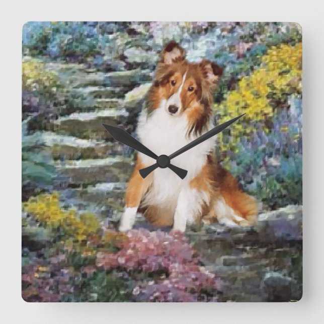 Shetland Sheepdog Sheltie Kunst Geschenke Quadratische Wanduhr (Vorderseite)