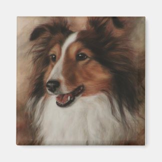 Shetland Sheepdog Sheltie lächelnd Magnet