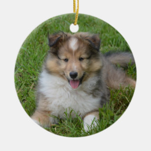 Shetland Sheepdog - Sheltie Puppy Dog Keramik Ornament