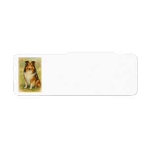 Shetland Sheepdog sitzt Aquarell 