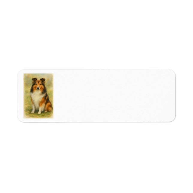 Shetland Sheepdog sitzt Aquarell  (Vorne)