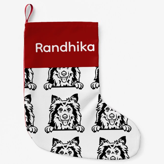 Shetland Sheepdog Socken Maßgeschneiderte Hundesoc (Vorderseite)