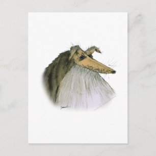 Shetland Sheepdog, tony fernandes Postkarte