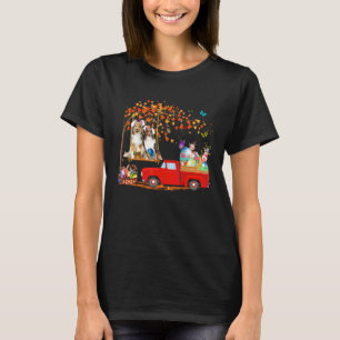 Shetland Sheepdog trägt einen sonnigen Ohrroten LK T-Shirt