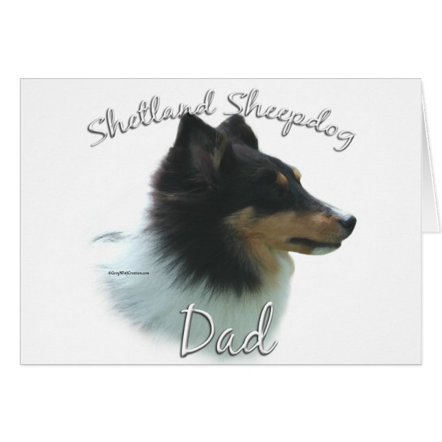 Shetland Sheepdog (tri) Vater 2 (Vorderseite (Horizontal))