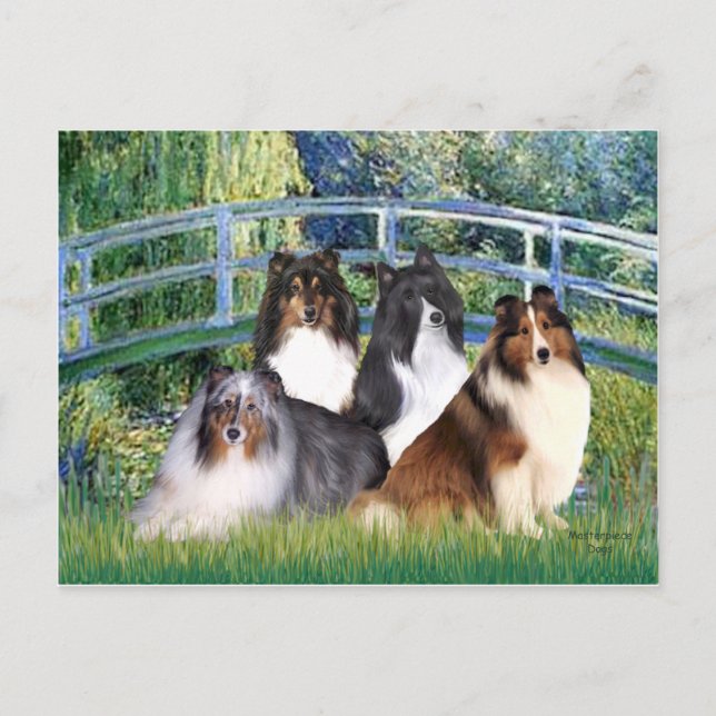 Shetland Sheepdog (vier) - Bridge Postkarte (Vorderseite)