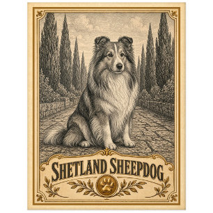 Shetland Sheepdog, Vintage Heritage Hund Postkarte