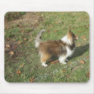 Shetland Sheepdog Voll Sekunde Mousepad