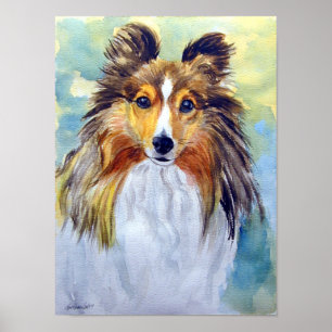 Shetland Sheepdog Wall Poster