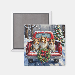 Shetland Sheepdog Weihnachten Roter LKW Urlaub Magnet