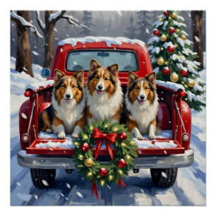 Shetland Sheepdog Weihnachten Roter LKW Urlaub Poster