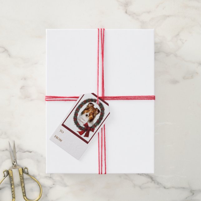 Shetland Sheepdog Weihnachtsschaden Geschenkanhänger (Mit Garn)