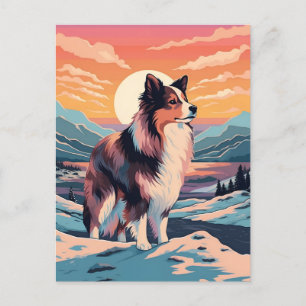 Shetland Sheepdog Winterbergwald während unserer Z Postkarte