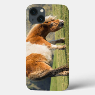 Shetlandpony auf der Weide nahe hoher Klippen Case-Mate iPhone Hülle