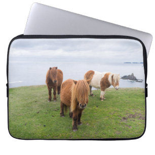 Shetlandpony auf der Weide nahe hoher Klippen Laptopschutzhülle