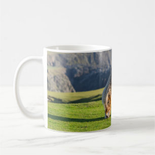 Shetlandpony auf Weide in der Nähe hoher Klippen Kaffeetasse