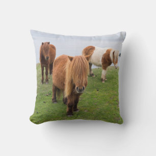 Shetlandpony auf Weide in der Nähe hoher Klippen Kissen