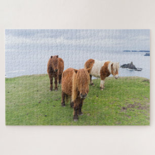 Shetlandpony auf Weide in der Nähe hoher Klippen Puzzle