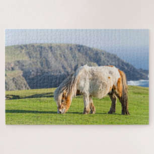 Shetlandpony auf Weide in der Nähe hoher Klippen Puzzle