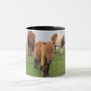Shetlandpony auf Weide in der Nähe hoher Klippen Tasse