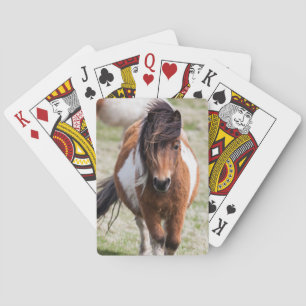 Shetlandpony, Shetland-Inseln Spielkarten