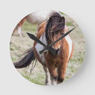 Shetlandpony, Shetlandinseln Runde Wanduhr