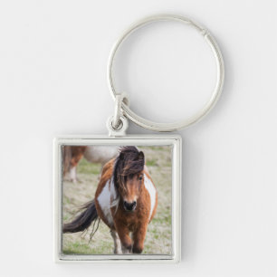 Shetlandpony, Shetlandinseln Schlüsselanhänger