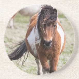 Shetlandpony, Shetlandinseln Untersetzer