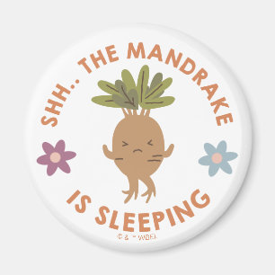 Shh.. Der Mandrake schläft Magnet