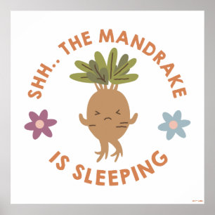 Shh.. Der Mandrake schläft Poster
