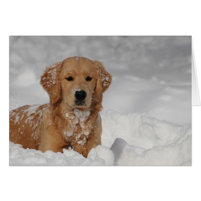 Shhhh, Schnee! (Vorderseite (Horizontal))