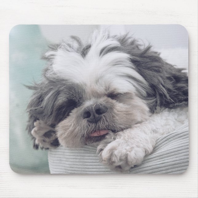 shi tzu, Hund, Haustier Mousepad (Vorne)
