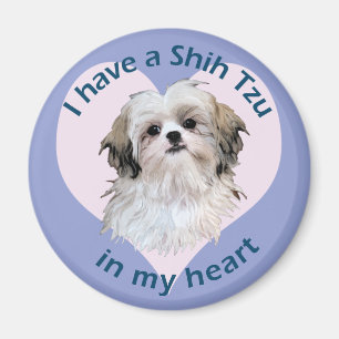 Shi Tzu in meinem Herzen Magnet