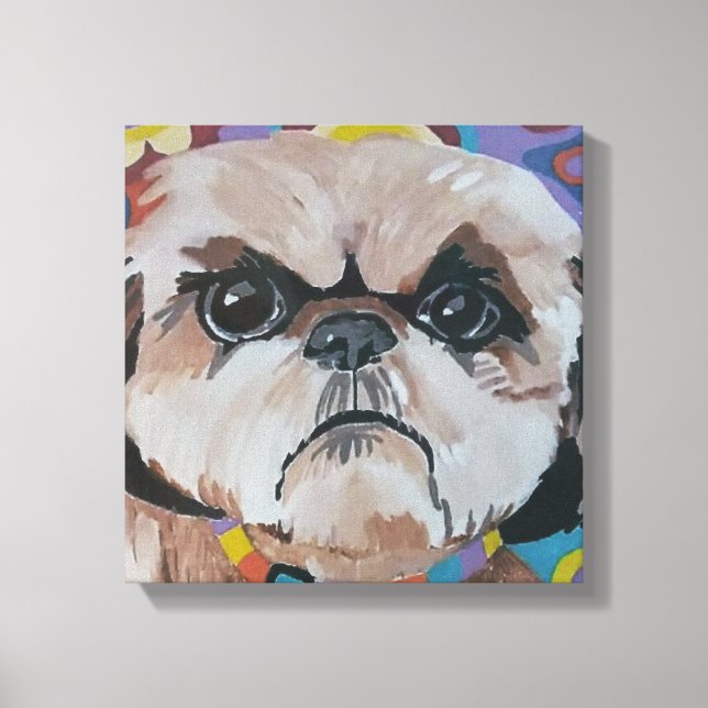 Shi Tzu Stretched Canvas Print Leinwanddruck (Vorderseite)