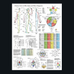 Shiatsu Akupunktur Meridians Hara Diagnosekarte Poster<br><div class="desc">Shiatsu-Diagramm mit den zwölf Hauptmeridianen, dem Lenkschiff und dem Empfängnisschiff. Start- und Zielorte für jeden Meridian, fünf Element-Beziehungen und Tageszeit, an der jeder Meridian am aktivsten ist. Auf der Rückseite des Diagramms werden die Punkte Alarm und Back Shu angezeigt. Hara Diagnose und ihre Beziehung zu den fünf Elementen, Backarea Korrespondenzen...</div>