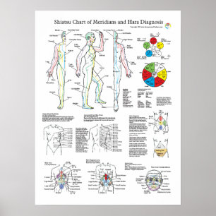 Shiatsu Akupunktur Meridians und Hara Diagnostics Poster