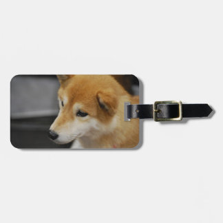 shiba-inu-2.jpg gepäckanhänger