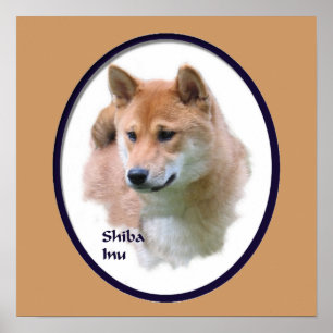 Shiba Inu Art Print Poster
