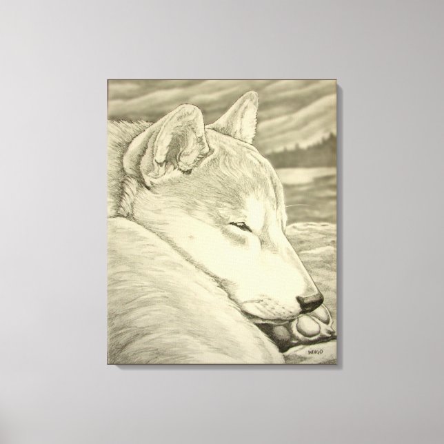 Shiba Inu Art Print Stretched Shiba Inu Art Leinwa Leinwanddruck (Vorderseite)